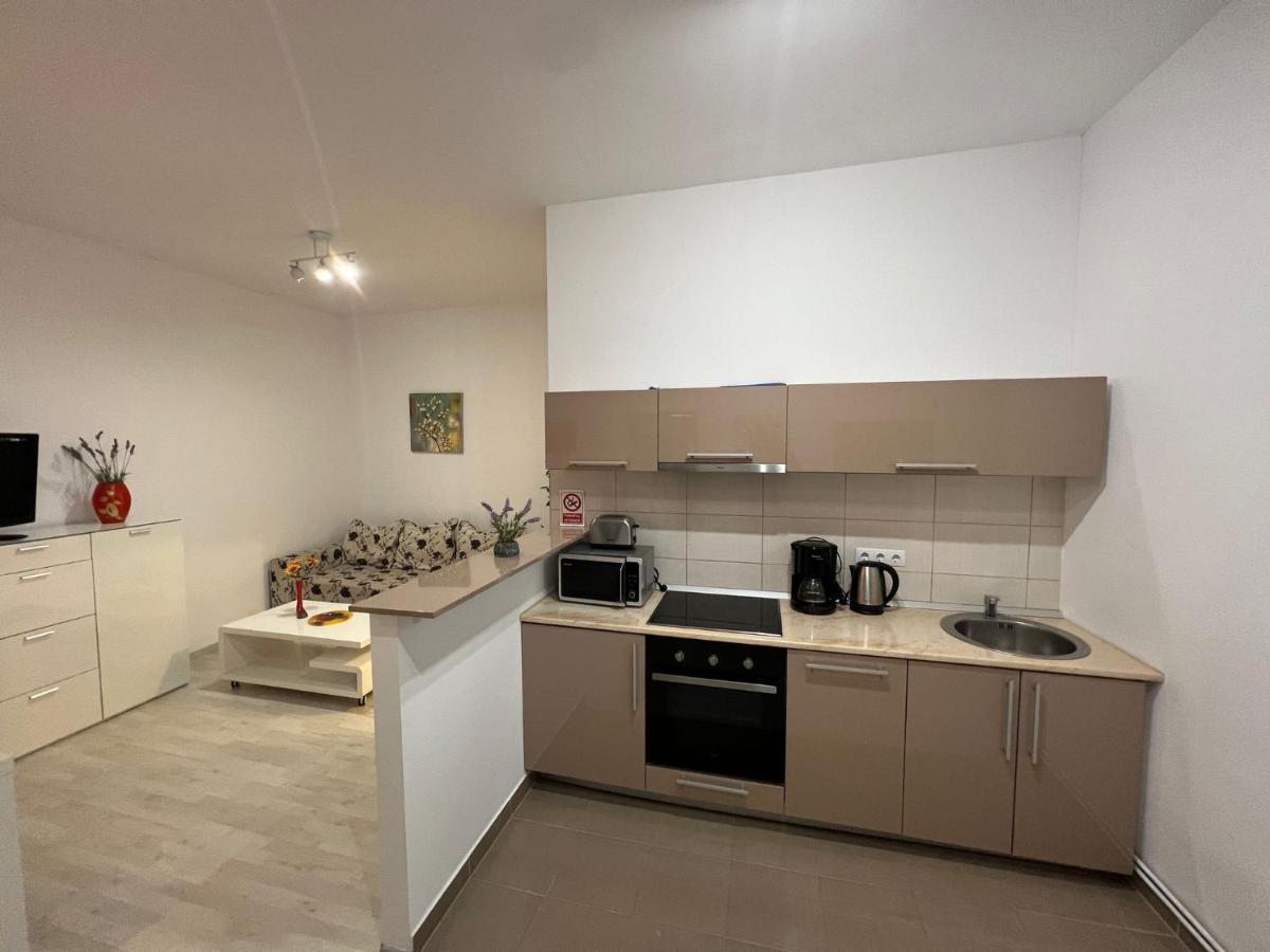 Apartament Teodora Sibiu Lejlighed Eksteriør billede